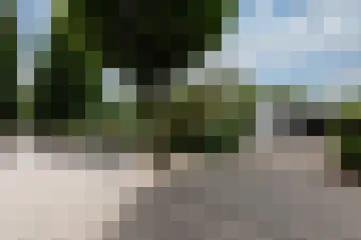 Abraham Kuyperstraat 15 Zelhem thumbnail 65