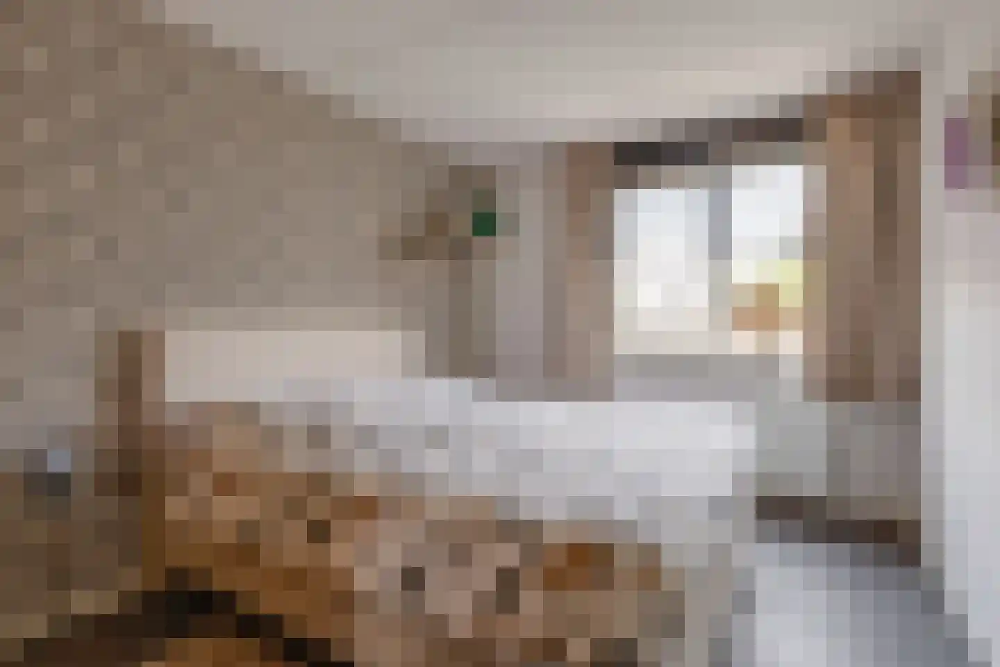 Abraham Kuyperstraat 16 Winterswijk thumbnail 23