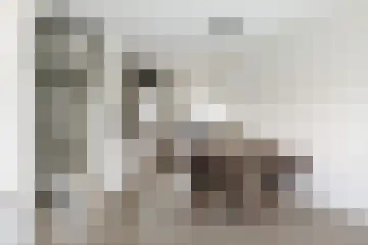 Abraham Kuyperstraat 17 Twello thumbnail 10