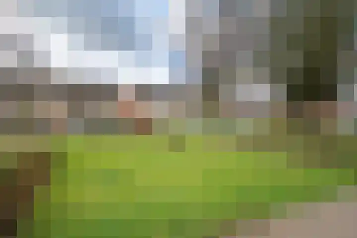 Abraham Kuyperstraat 17 Twello thumbnail 36