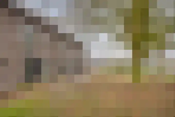 Abraham Kuyperstraat 19 Twello thumbnail 27