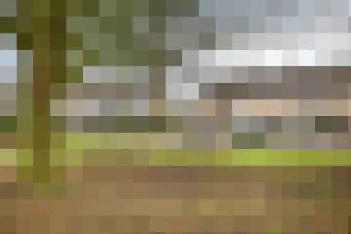Abraham Kuyperstraat 19 Twello thumbnail 28