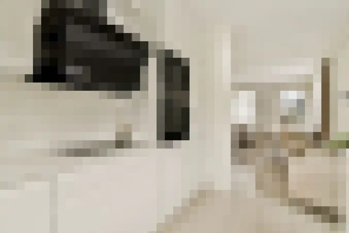 Abraham Kuyperstraat 2 Amsterdam thumbnail 13