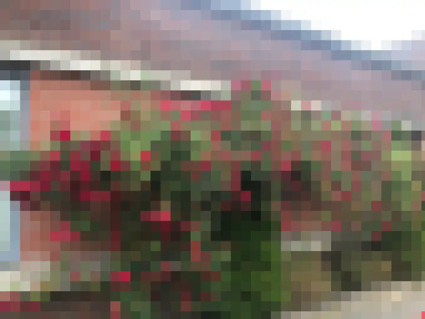 Abraham Kuyperstraat 2 Amsterdam thumbnail 7