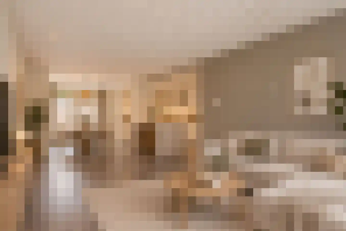 Abraham Kuyperstraat 23 Oss thumbnail 4
