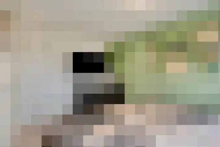 Abraham Kuyperstraat 3 Epe thumbnail 17