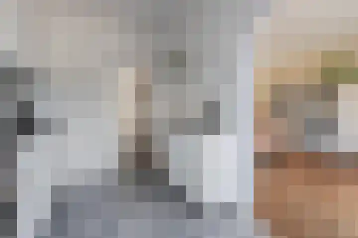 Abraham Kuyperstraat 33 Oss thumbnail 16