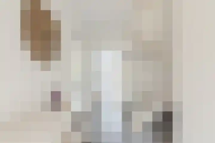 Abraham Kuyperstraat 33 Oss thumbnail 17