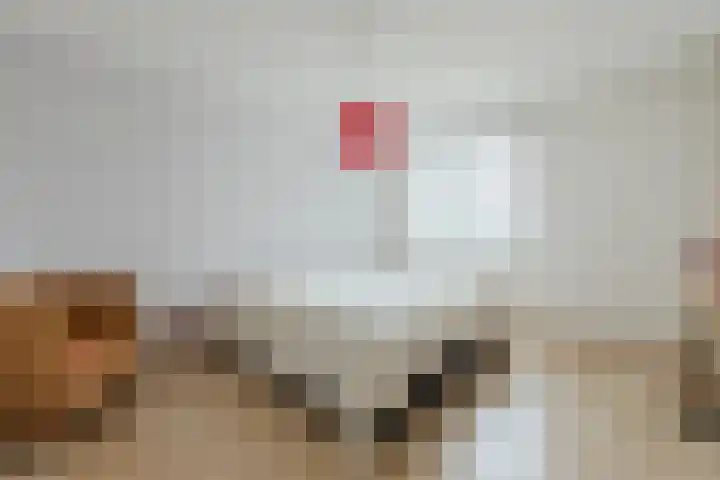 Abraham Kuyperstraat 33 Oss thumbnail 22