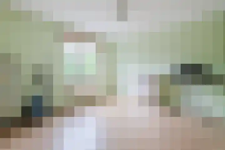 Abraham Kuyperstraat 33 Oss thumbnail 25