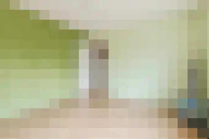 Abraham Kuyperstraat 33 Oss thumbnail 27