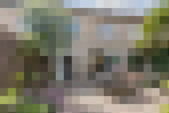 Abraham Kuyperstraat 33 Oss thumbnail 4