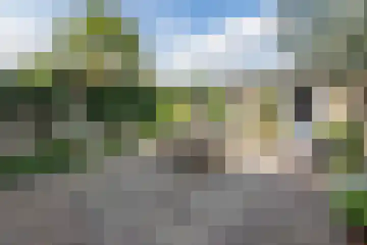 Abraham Kuyperstraat 33 Oss thumbnail 41