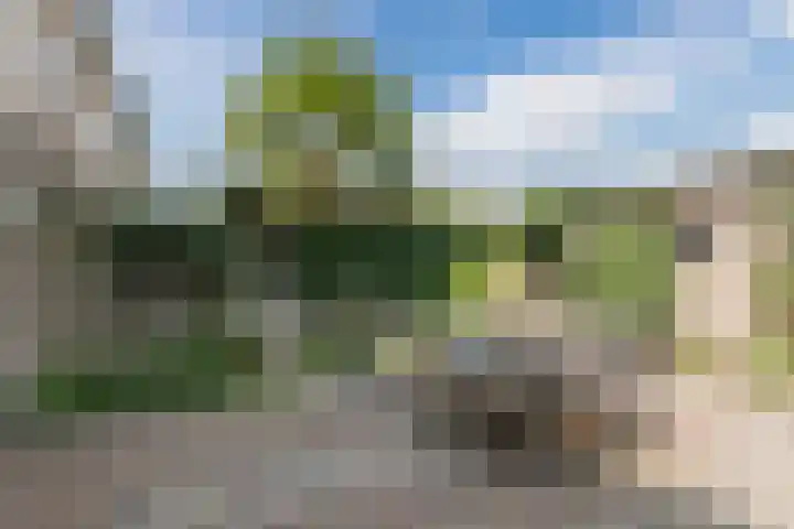 Abraham Kuyperstraat 33 Oss thumbnail 43