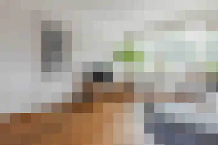 Abraham Kuyperstraat 33 Oss thumbnail 7