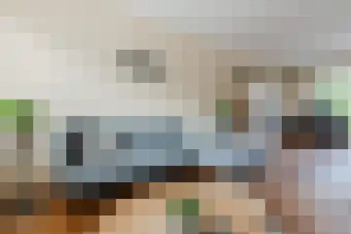 Abraham Kuyperstraat 33 Oss thumbnail 8
