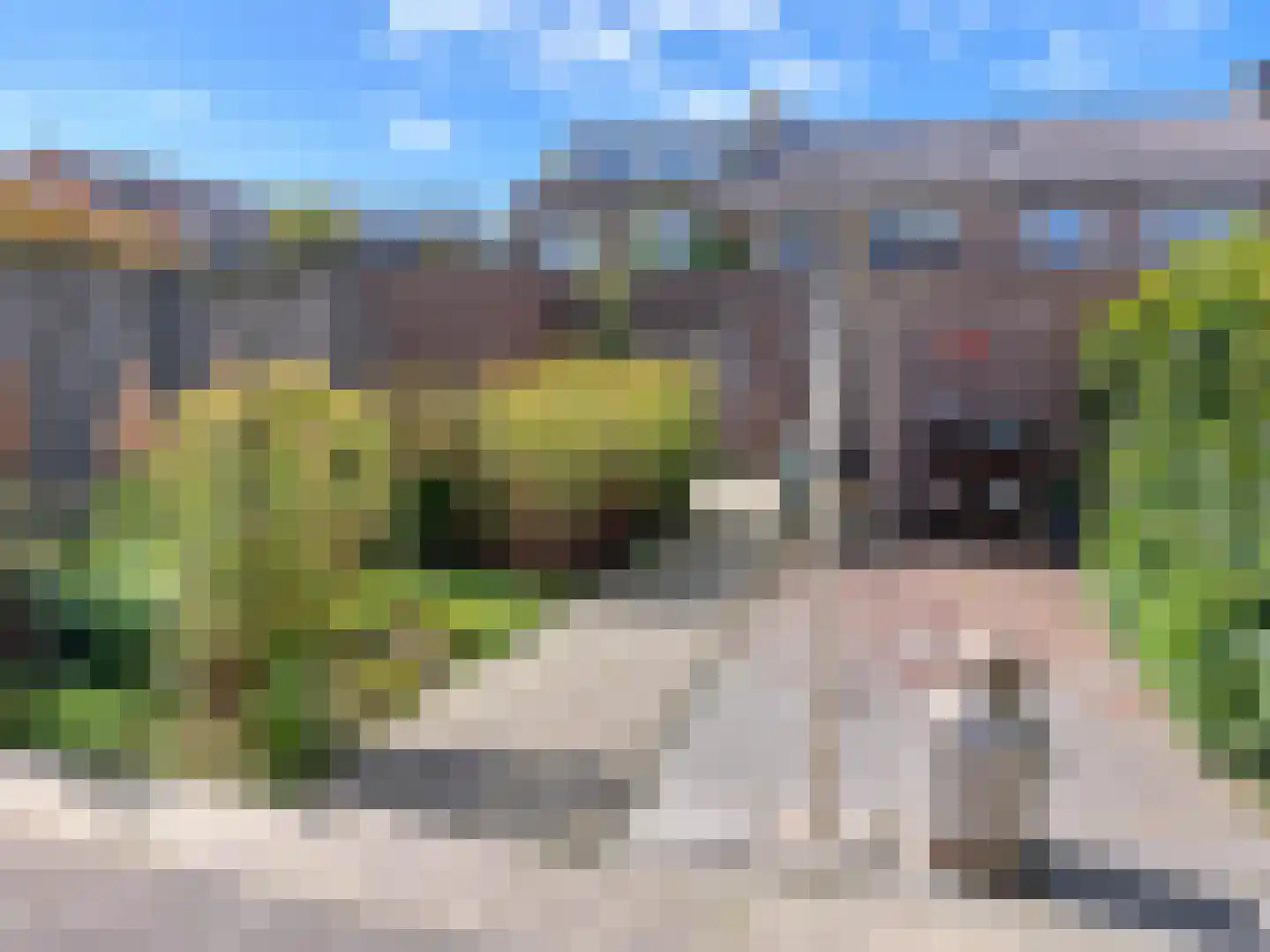 Abraham Kuyperstraat 33 Vlissingen thumbnail 21
