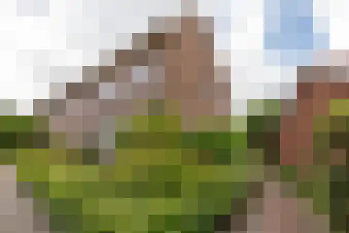 Abraham Kuyperstraat 4 Heemstede thumbnail 23