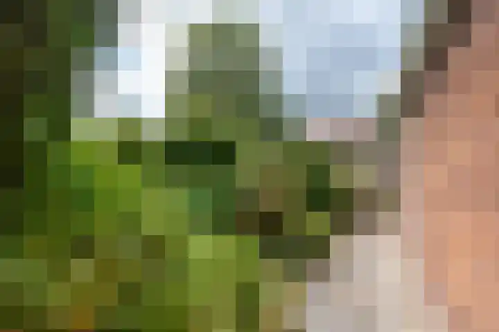 Abraham Kuyperstraat 4 Heemstede thumbnail 30