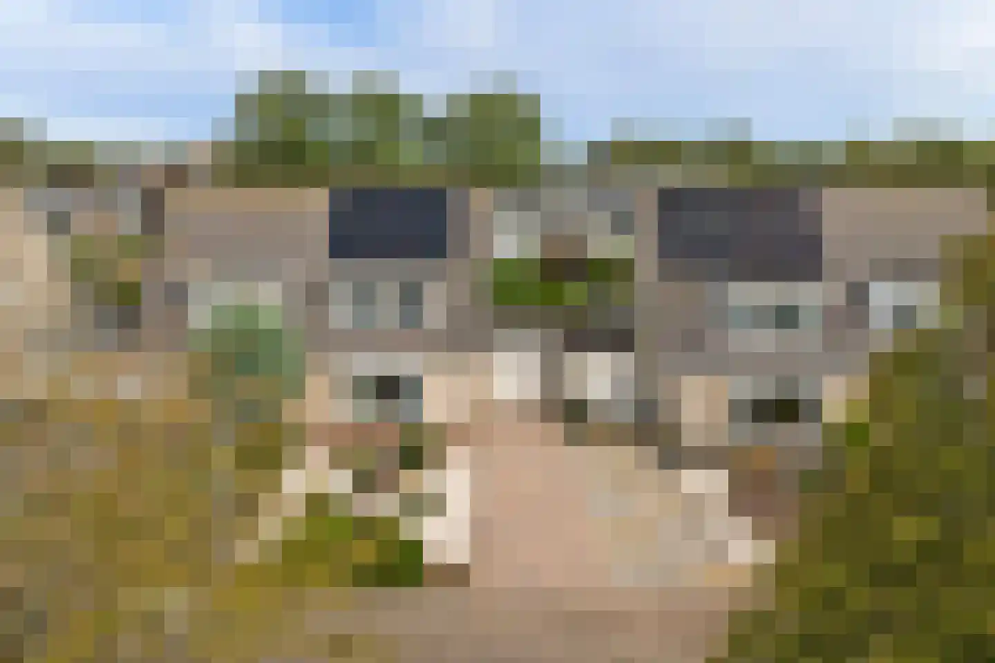 Abraham Kuyperstraat 41 Harlingen thumbnail 36