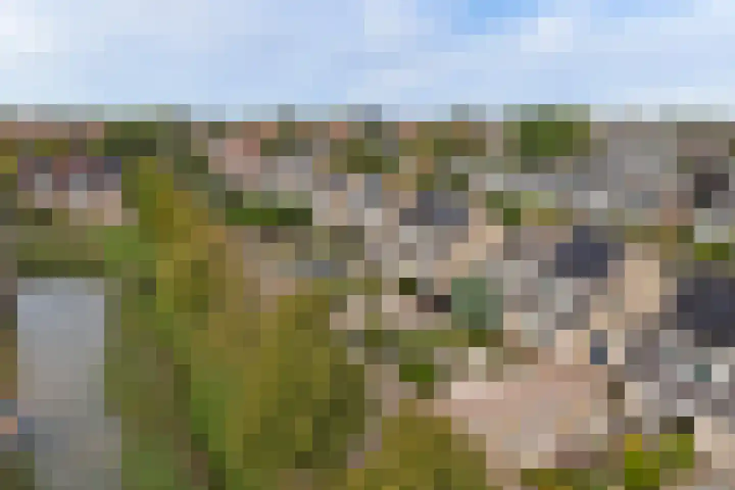 Abraham Kuyperstraat 41 Harlingen thumbnail 37