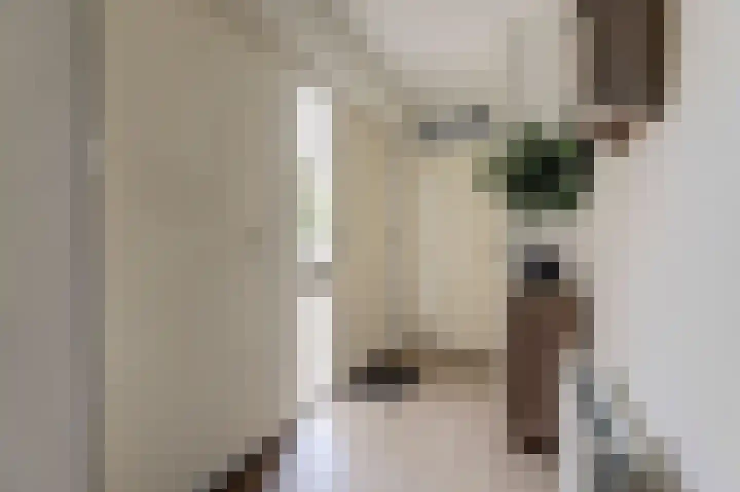 Abraham Kuyperstraat 41 Harlingen thumbnail 8