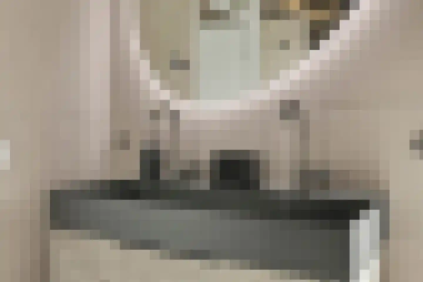Abraham Kuyperstraat 42 Winterswijk thumbnail 34