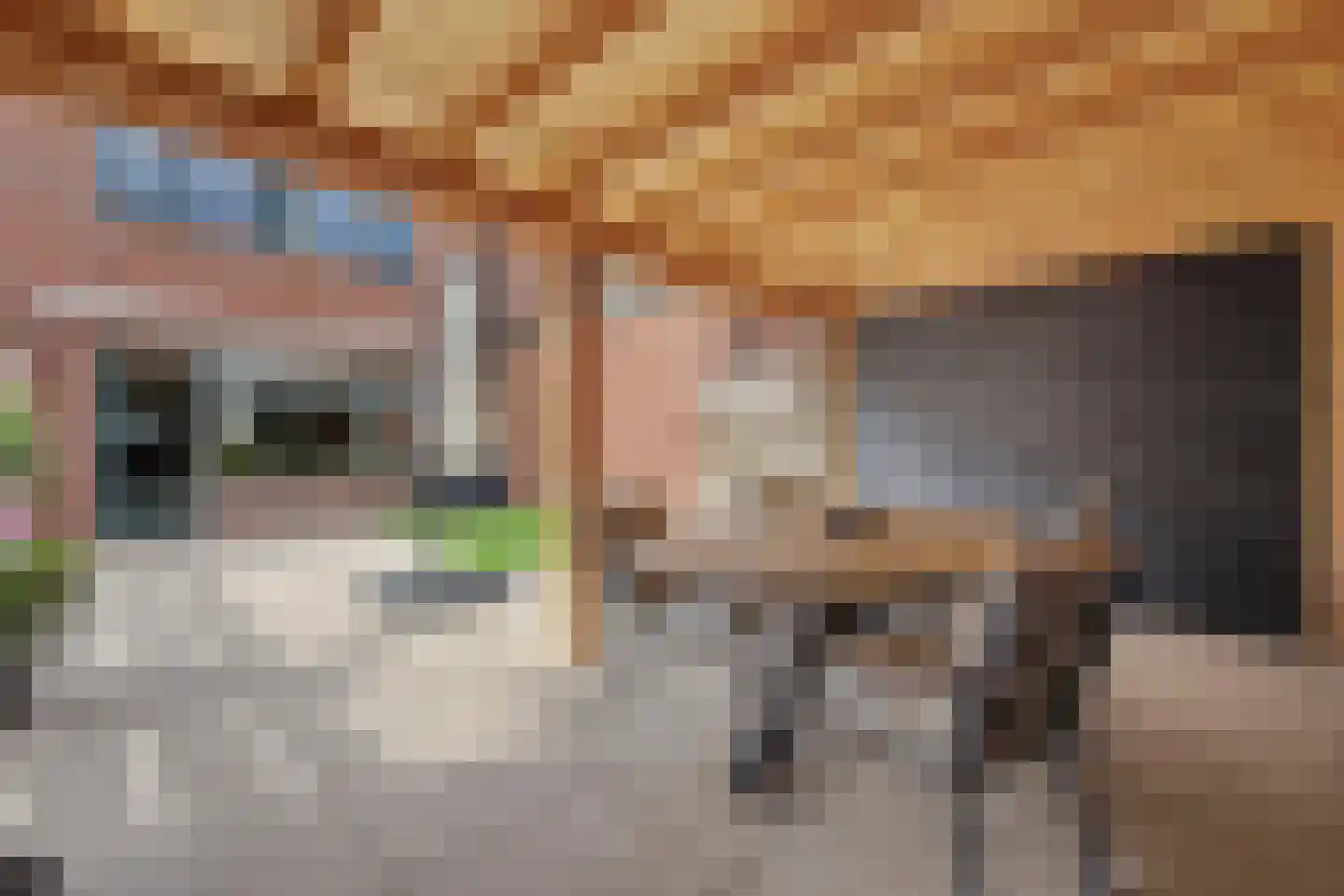 Abraham Kuyperstraat 42 Winterswijk thumbnail 41