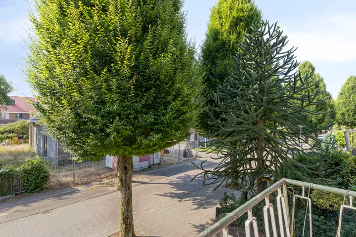 Abraham Kuyperstraat 5 Zelhem thumbnail 20