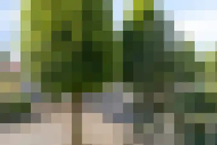 Abraham Kuyperstraat 5 Zelhem thumbnail 20