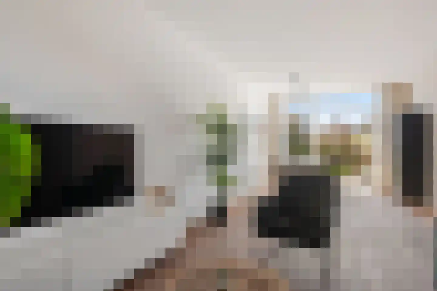Abraham Kuyperstraat 6 Heemstede thumbnail 7
