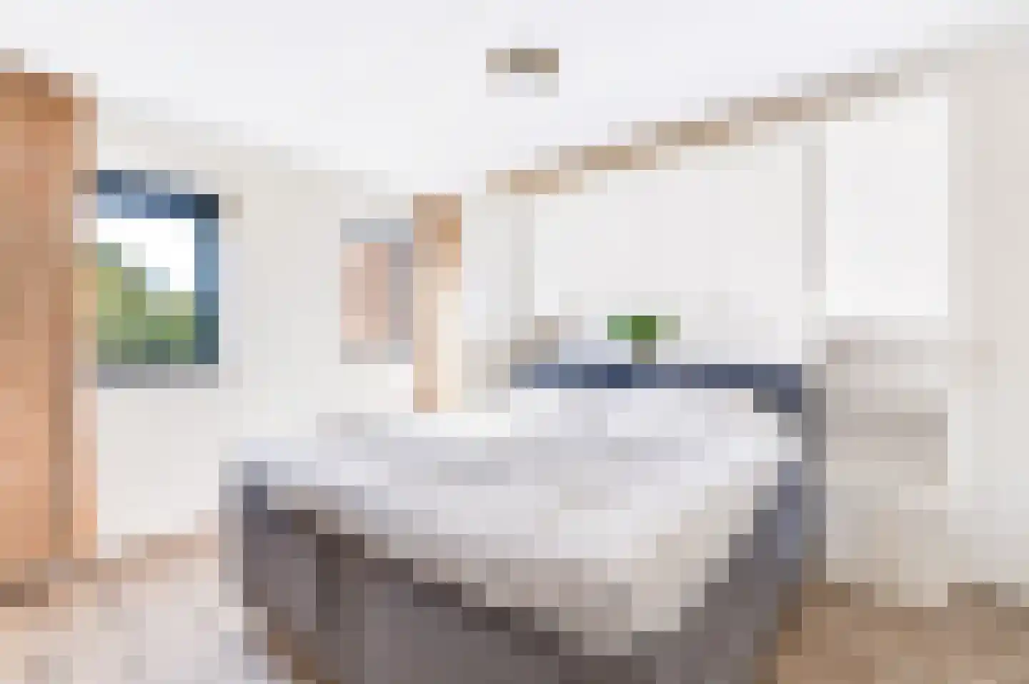 Abraham Kuyperstraat 62 Apeldoorn thumbnail 17