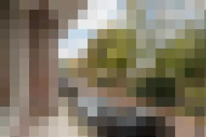 Abraham Kuyperweg 20 Dordrecht thumbnail 23