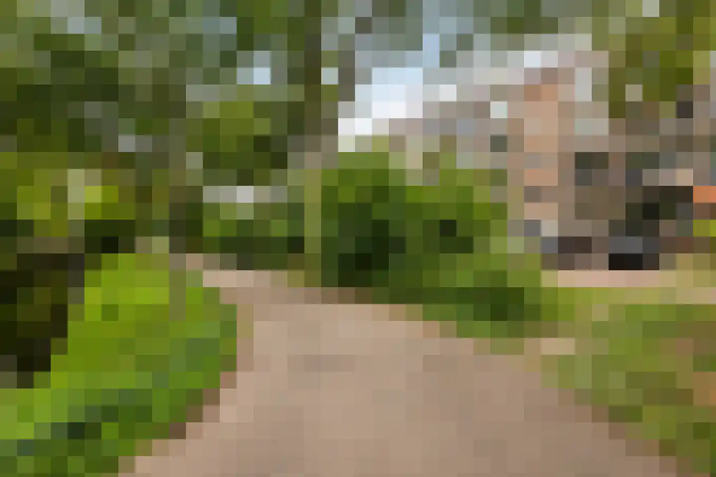 Abraham Kuyperweg 26 Dordrecht thumbnail 29