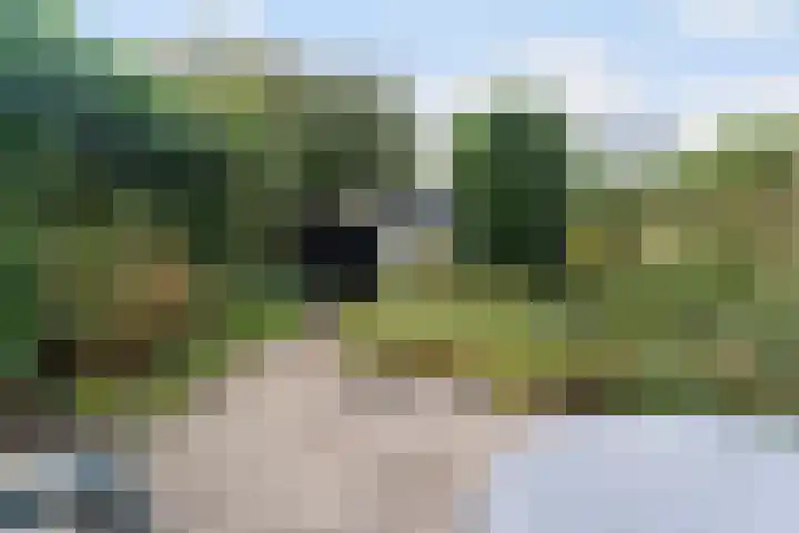 Abraham Kuyperweg 9 De Bilt thumbnail 34