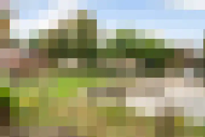 Abraham Kuyperweg 9 De Bilt thumbnail 39
