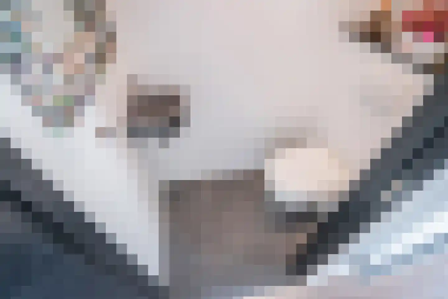 Abraham Lincolnlaan 11 Rijswijk thumbnail 22