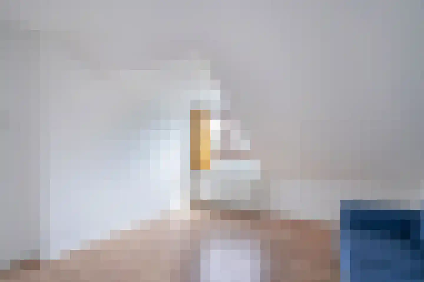 Abraham Lincolnlaan 11 Rijswijk thumbnail 38