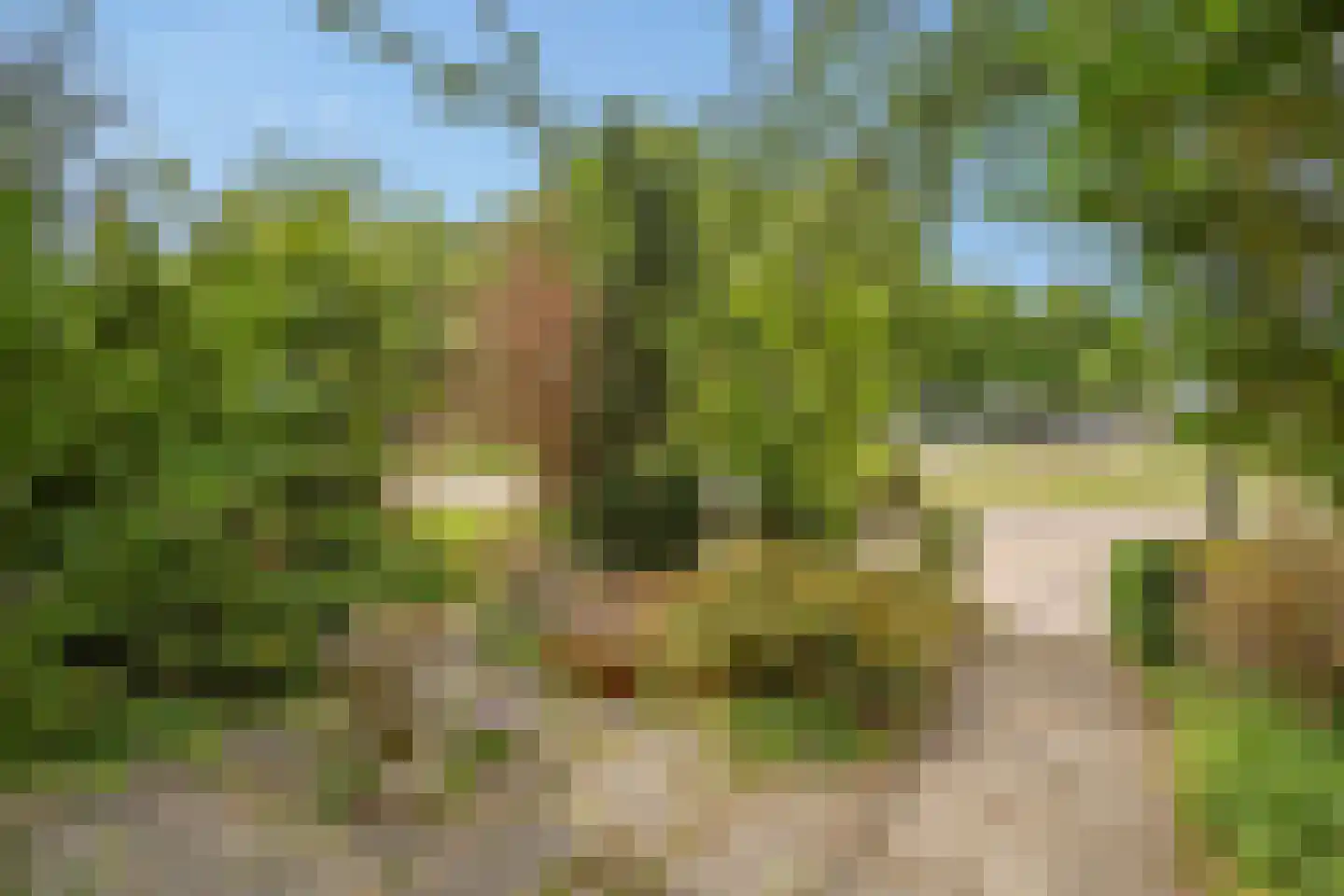 Abraham Lincolnlaan 11 Rijswijk thumbnail 6