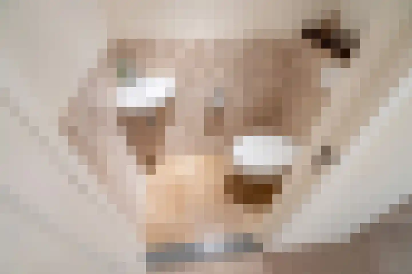 Abraham Lincolnlaan 3 Rijswijk thumbnail 22
