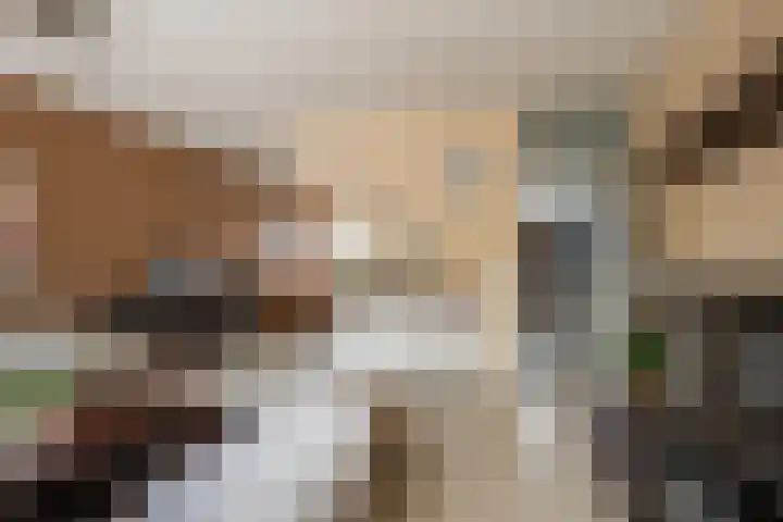 Abraham Maatstraat 12 Vlaardingen thumbnail 12