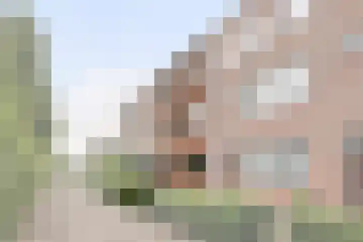 Abraham Maatstraat 12 Vlaardingen thumbnail 4