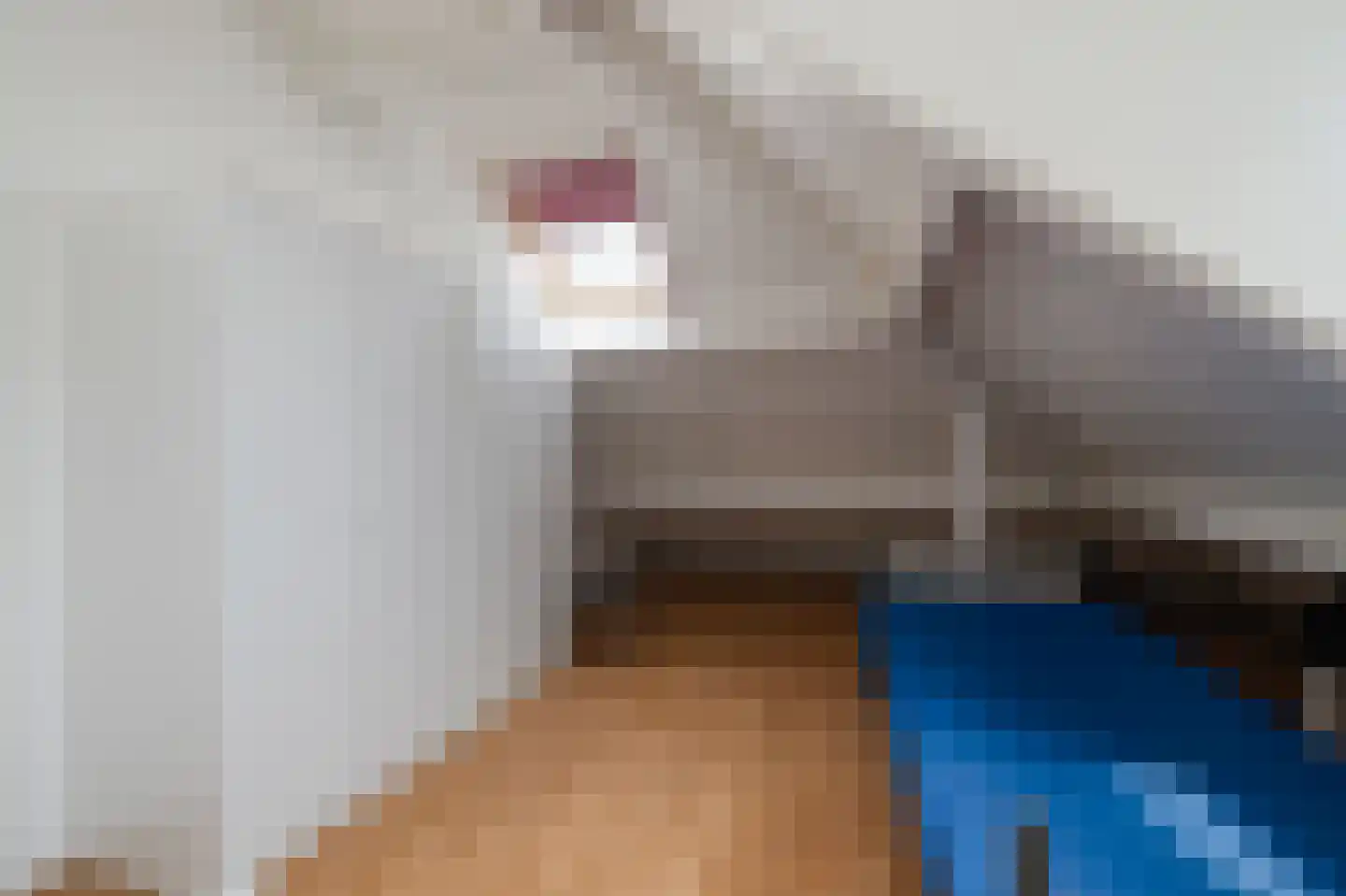 Abraham Molenaarweg 7 Berkel en Rodenrijs thumbnail 21