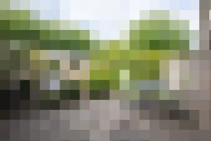 Abraham Rademakerstraat 10 Ouderkerk aan de Amstel thumbnail 31