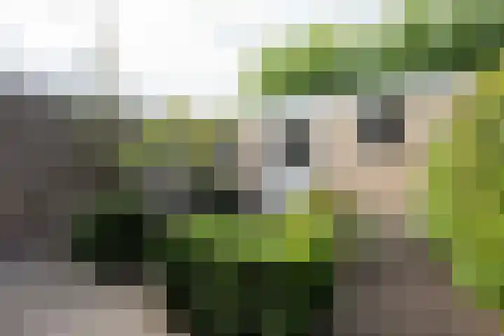 Abraham Rademakerstraat 10 Ouderkerk aan de Amstel thumbnail 33