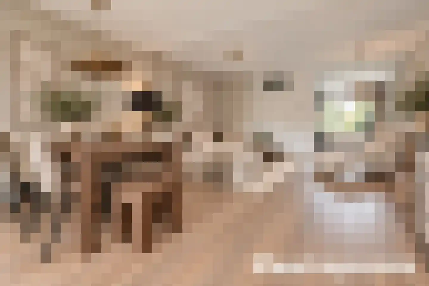 Abraham Rademakerstraat 17 Ouderkerk aan de Amstel thumbnail 8