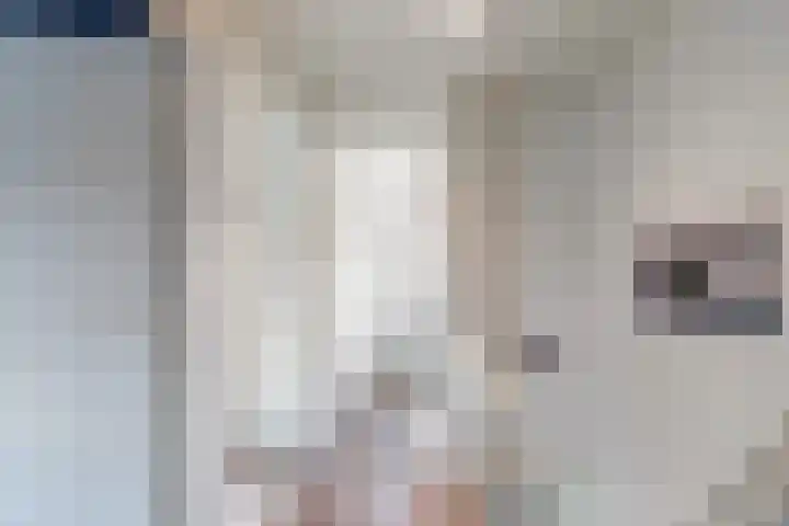 Abraham Steenhagenstraat 9 Almelo thumbnail 20