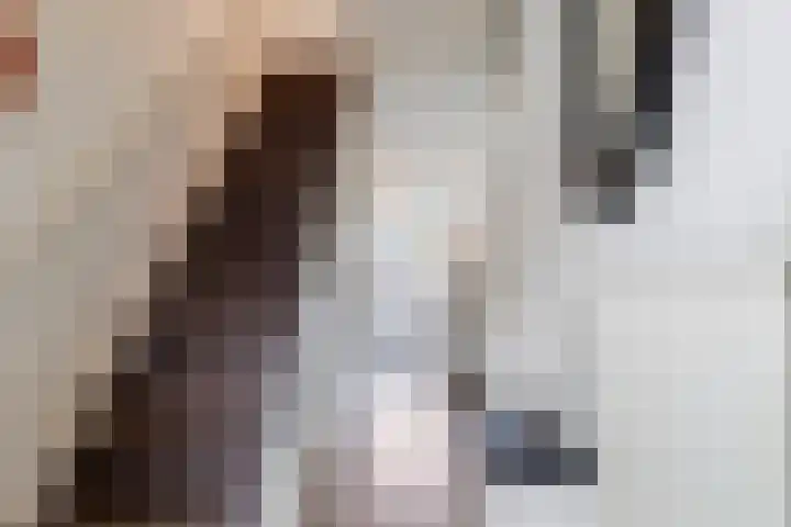 Abraham Steenhagenstraat 9 Almelo thumbnail 4