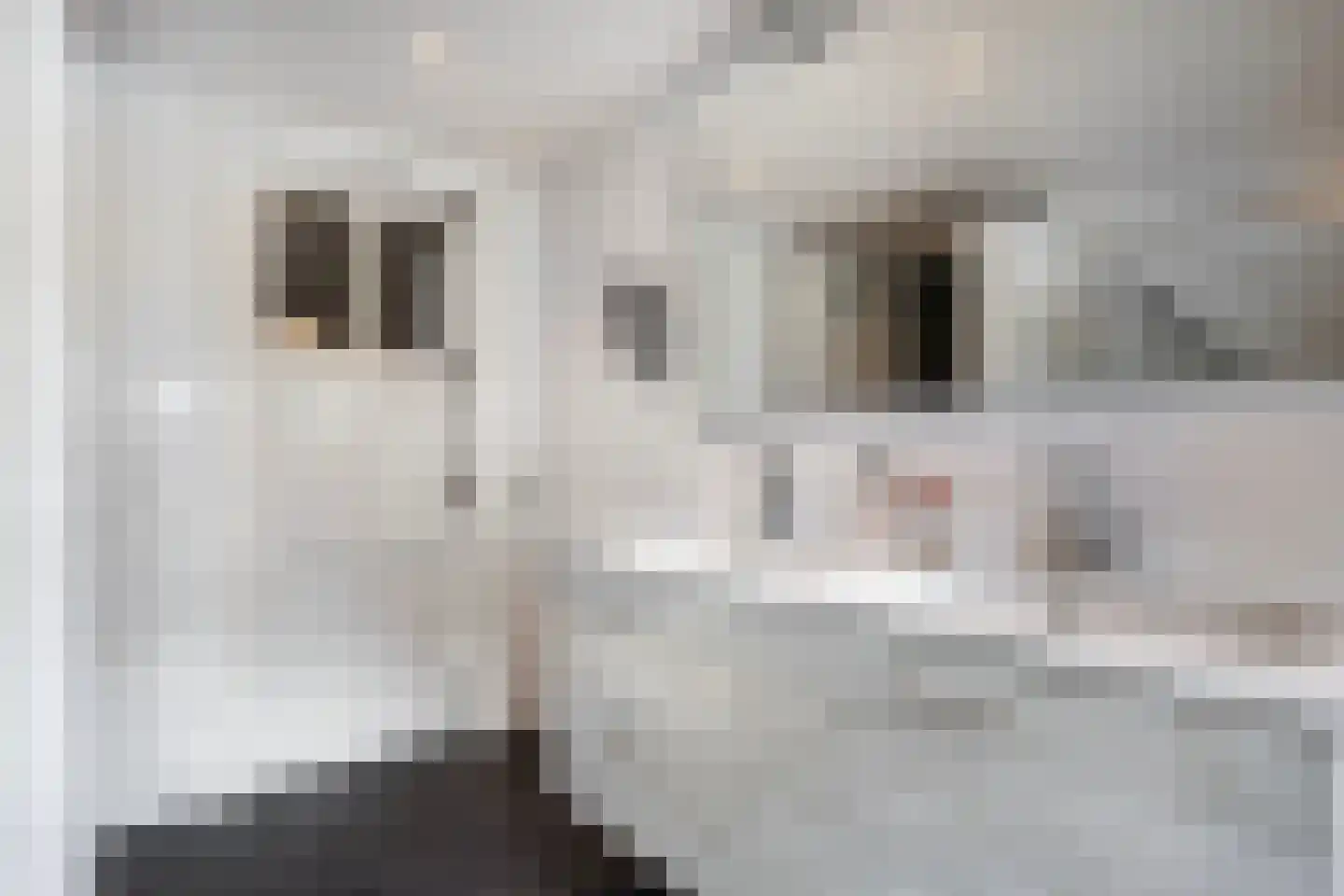 Abraham ten Catestraat 7 Borne thumbnail 23