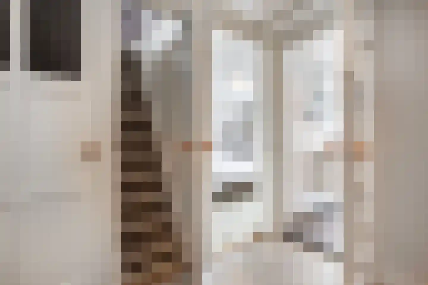 Abraham ten Catestraat 7 Borne thumbnail 27